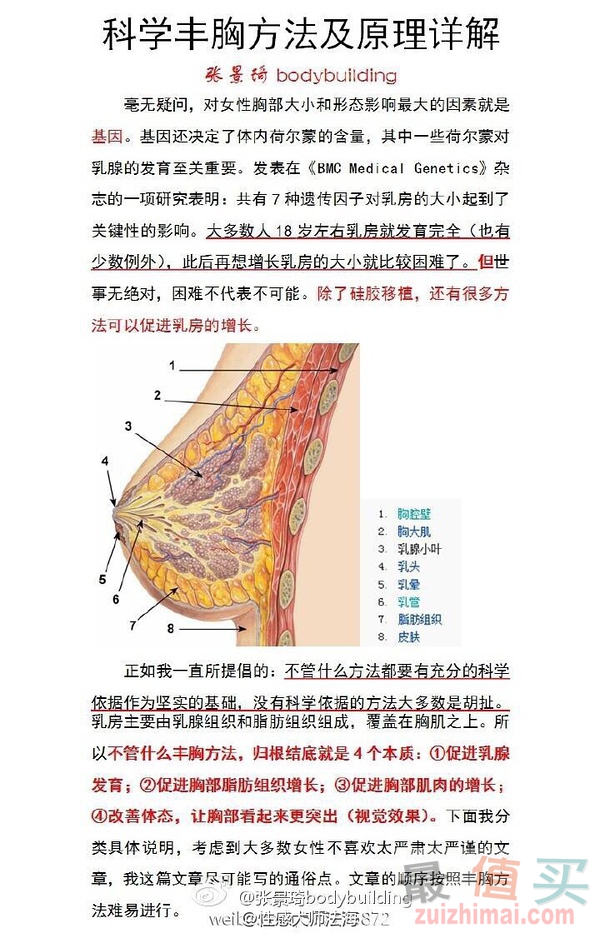 女生家庭健身高效小方法汇总【各部位篇】—达成视觉线条&身材围度,体重数字只是浮云！-图片8