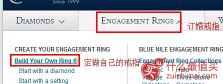 美国钻石珠宝网blue nile官网海淘攻略-图片5
