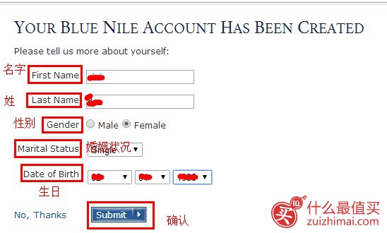 美国钻石珠宝网blue nile官网海淘攻略-图片4