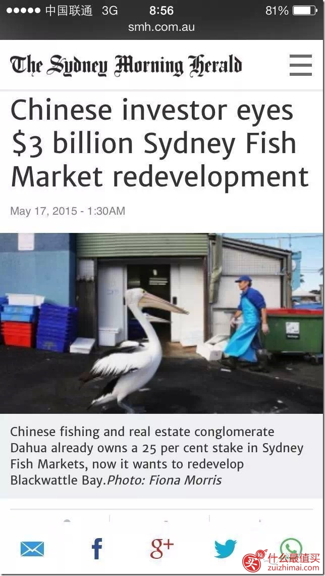中国神秘买家竟然要收购澳洲保健品Swisse！你猜是谁？-图片17