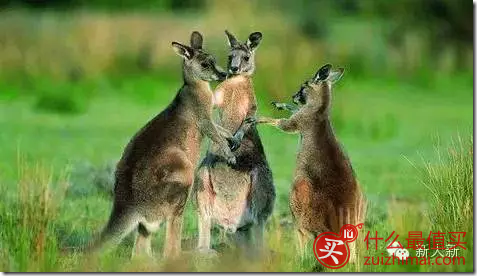 为什么选择澳洲保健品-图片3