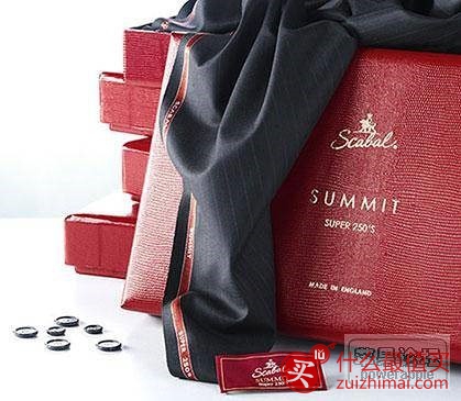 世界西装品牌排行榜  世界西装等级排名-图片34