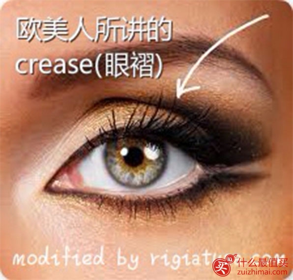 化妆刷小百科 第一期-图片3