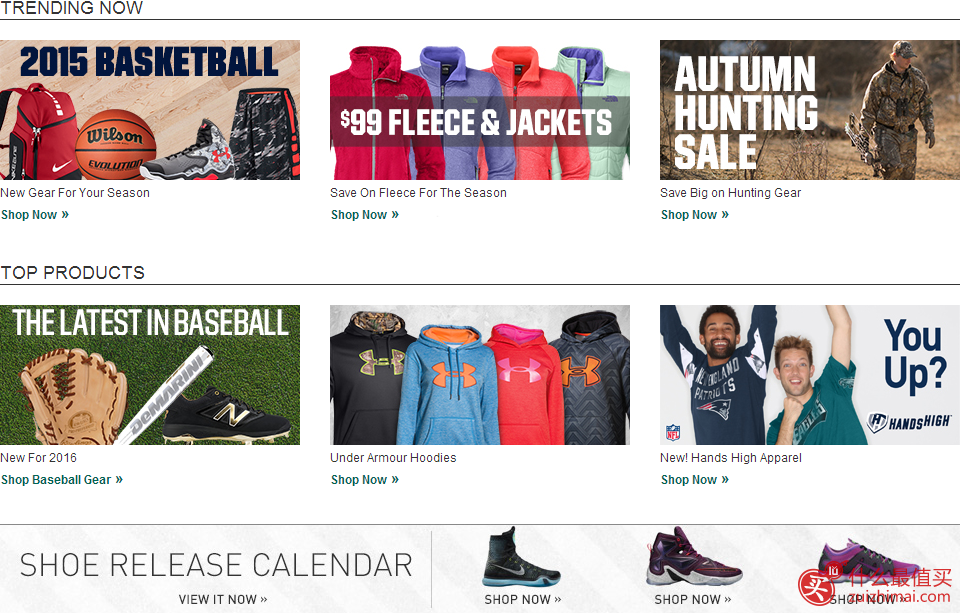 Dick's Sporting Goods官网