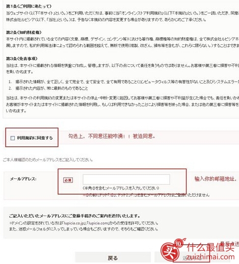 LUPICIA 绿碧茶园 日本官网海淘攻略-图片7