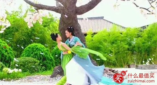 《太子妃升职记》穷得坦荡 雷到飞起 污得销魂 美到炸裂！-图片26