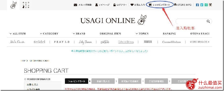 日本usagi online海淘攻略教程-图片9