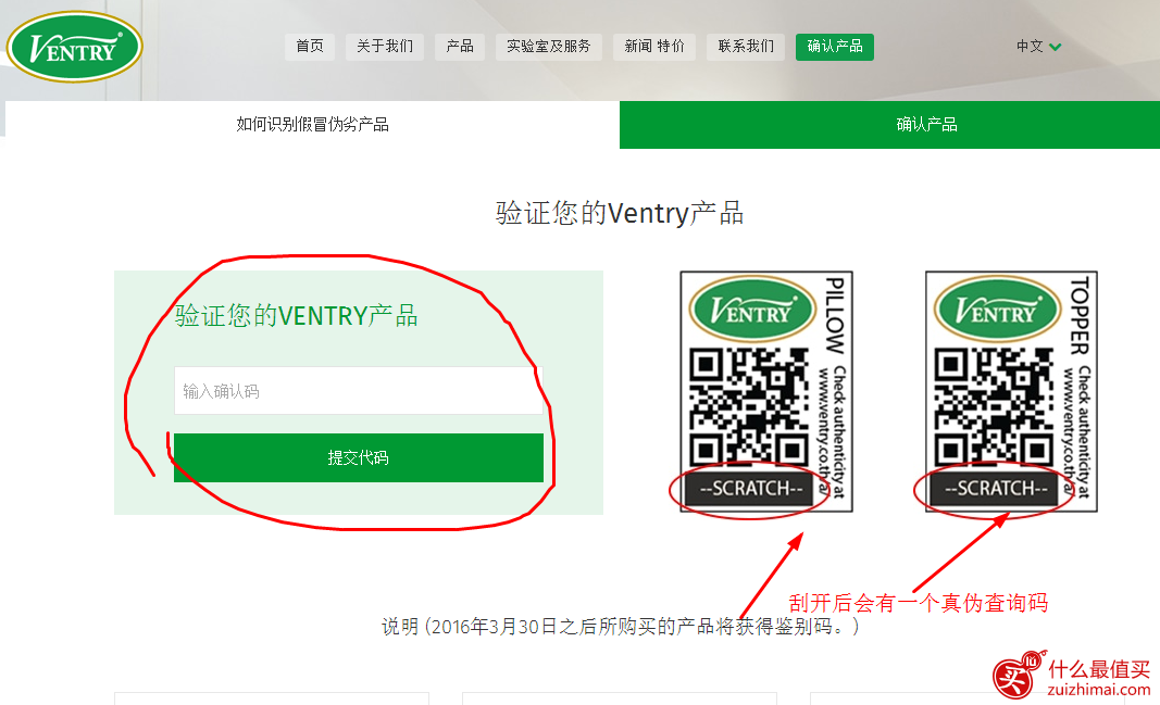 如何到ventry泰国官网购买ventry正品乳胶枕-图片1
