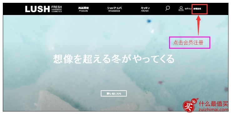 露诗lush日本官网海淘攻略-图片1