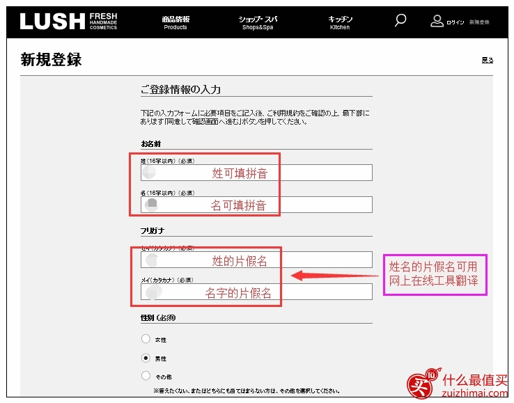 露诗lush日本官网海淘攻略-图片2