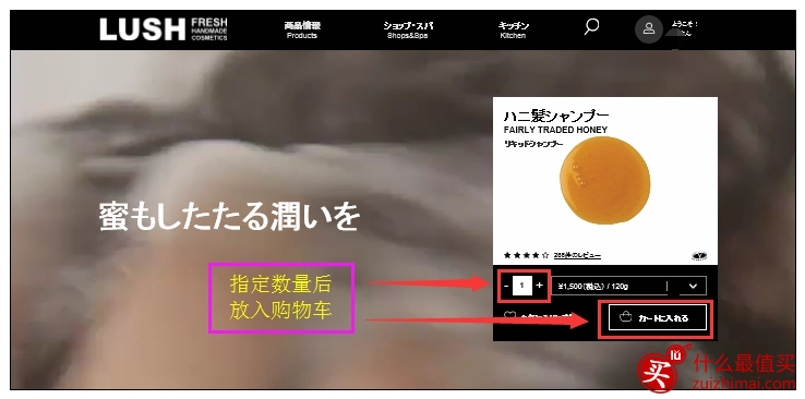 露诗lush日本官网海淘攻略-图片9