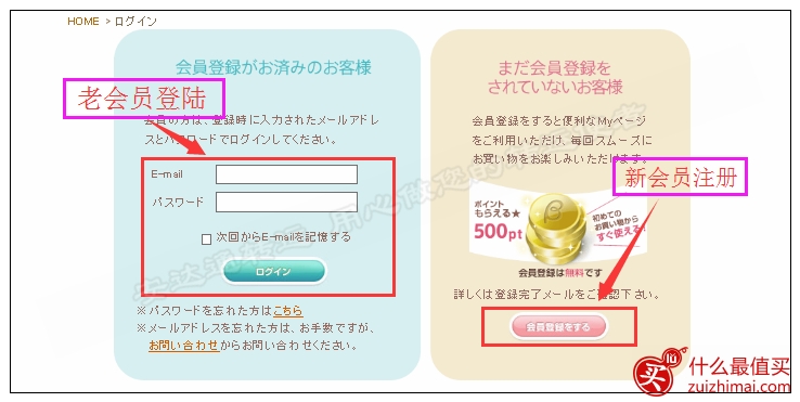 日本betta官网海淘攻略 日本贝亲奶粉官网购物/购买攻略-图片2