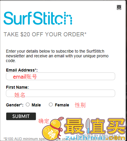 SurfStitch官网海淘攻略，极限运动产品的首选网站-图片2