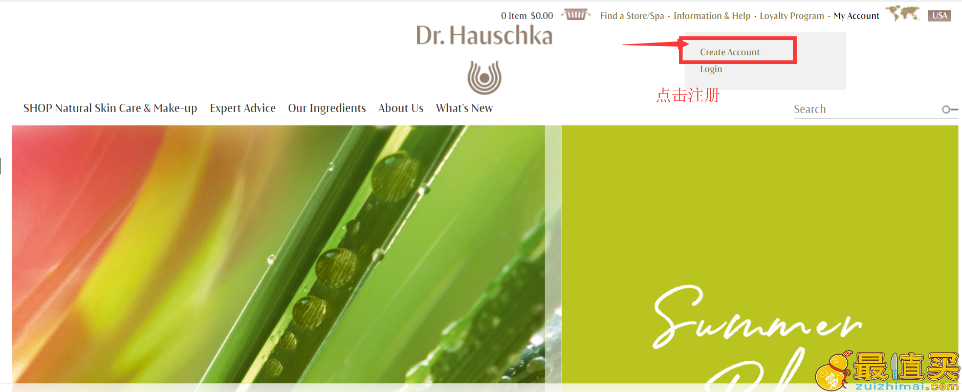 dr.hauschka官网海淘攻略-dr.hauschka直邮中国教程-图片1