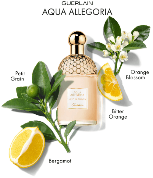 fragrancenet优惠码2026 fragrancenet中文网Guerlain 娇兰 花草水语系列 橙花伊甸园 淡香水 EDT 125ml4.7折.99（约248元）折扣码-图片1